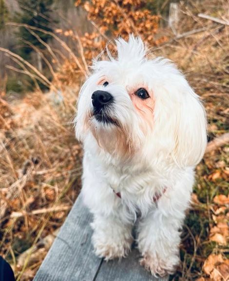 Představujeme náš tým: LILI